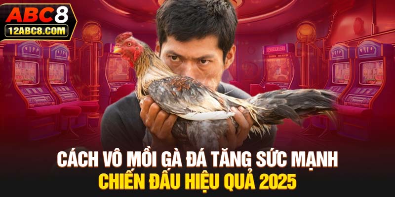 Cách Vô Mồi Gà Đá Tăng Sức Mạnh Chiến Đấu Hiệu Quả 2025