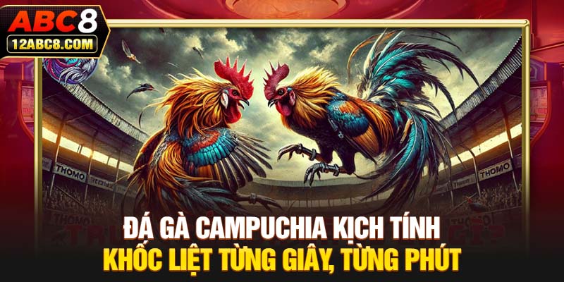 Đá Gà Campuchia Kịch Tính Khốc Liệt Từng Giây, Từng Phút