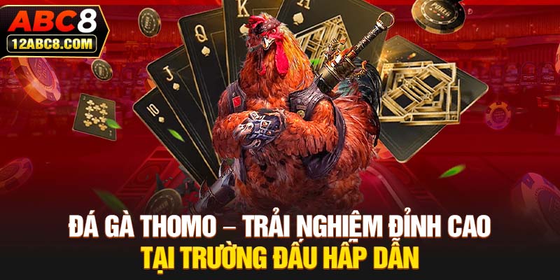 Đá Gà Thomo – Trải Nghiệm Đỉnh Cao Tại Đấu Trường Hấp Dẫn