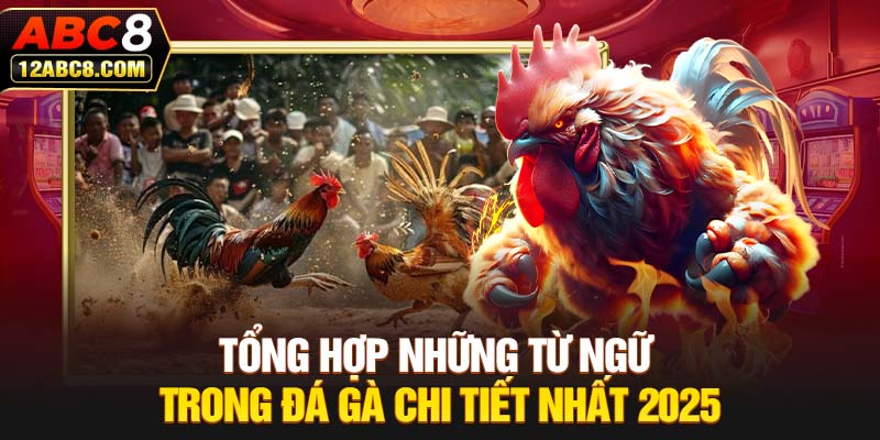 Tổng Hợp Những Từ Ngữ Trong Đá Gà Chi Tiết Nhất 2025