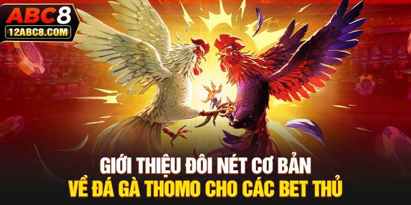 Giới thiệu đôi nét cơ bản về đá gà Thomo cho các bet thủ