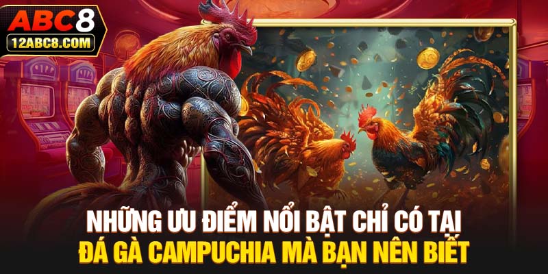 Những ưu điểm nổi bật chỉ có tại đá gà Campuchia mà bạn nên biết