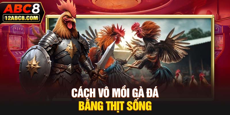 Cách vô mồi gà đá bằng thịt sống