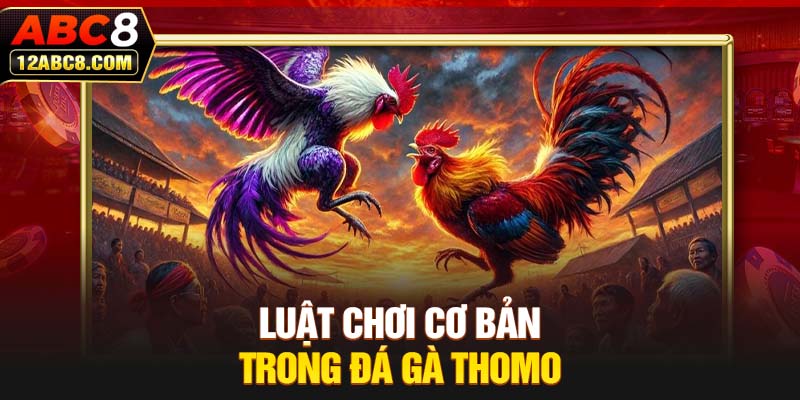 Luật chơi cơ bản trong đá gà Thomo