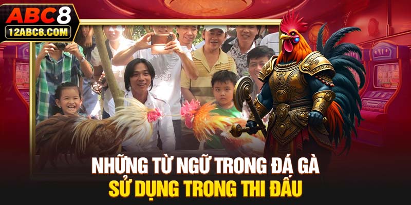 Những từ ngữ trong đá gà sử dụng trong thi đấu