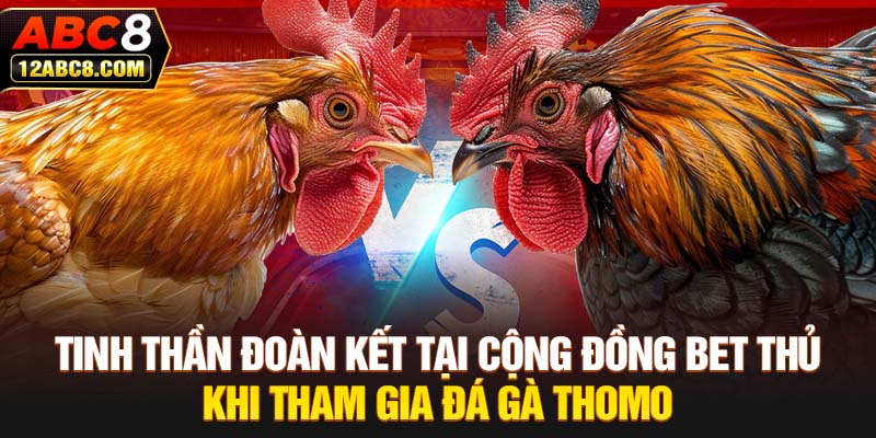 Tinh thần đoàn kết tại cộng đồng bet thủ khi tham gia đá gà Thomo