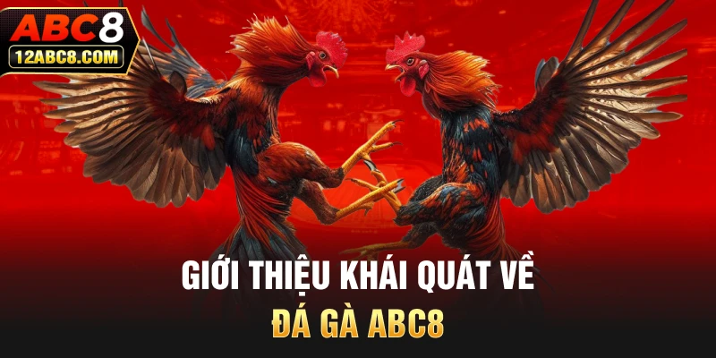 Giới thiệu khái quát về đá gà abc8 