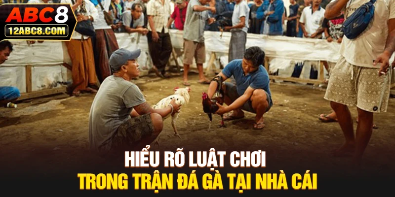 Hiểu rõ luật chơi trong trận đá gà tại nhà cái